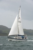 halley 2932c whyw25 fri 800_7535